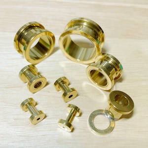 May include: A set of gold-colored ear gauges in various sizes. The gauges are made of metal and have a smooth, polished finish.