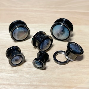 Shell Tunnel Plugs: Black PVD Surgical Steel Screw Fit (Pair)