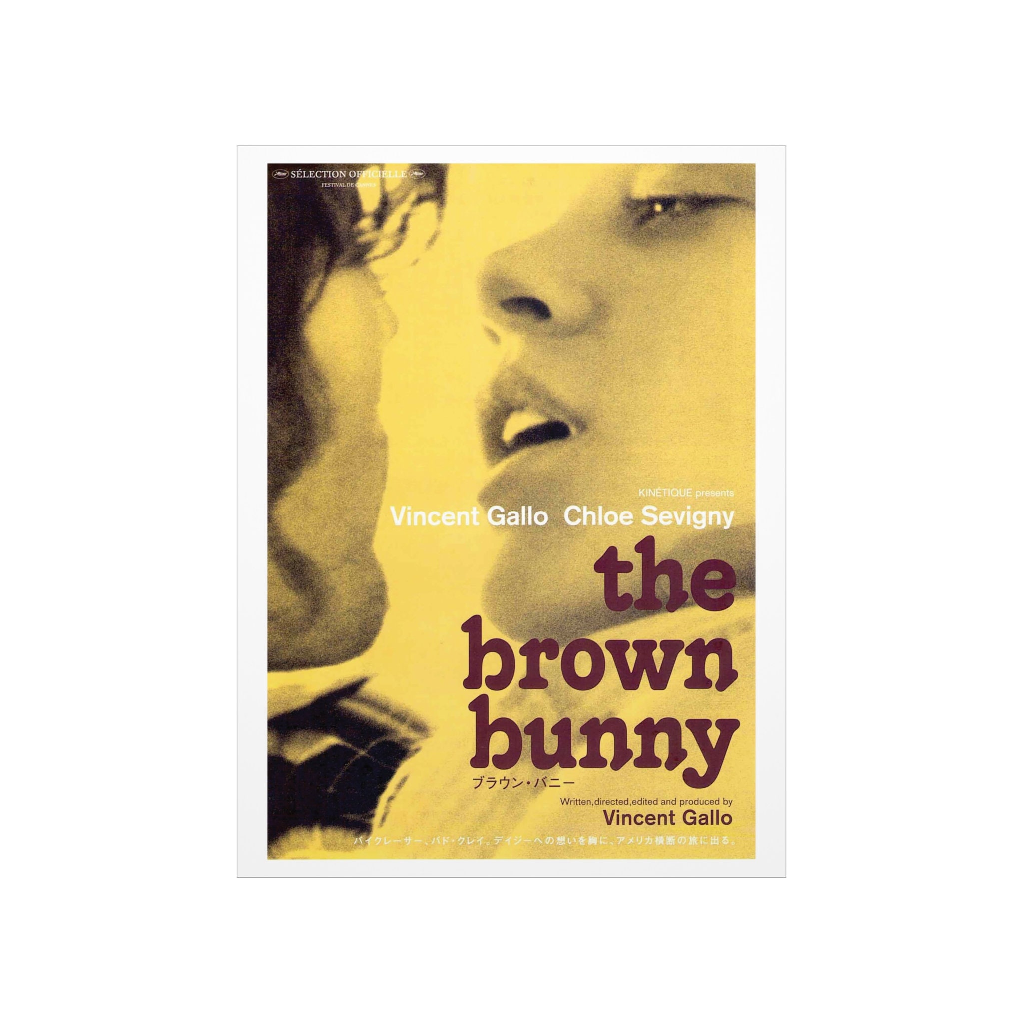 Brown bunny 2003
