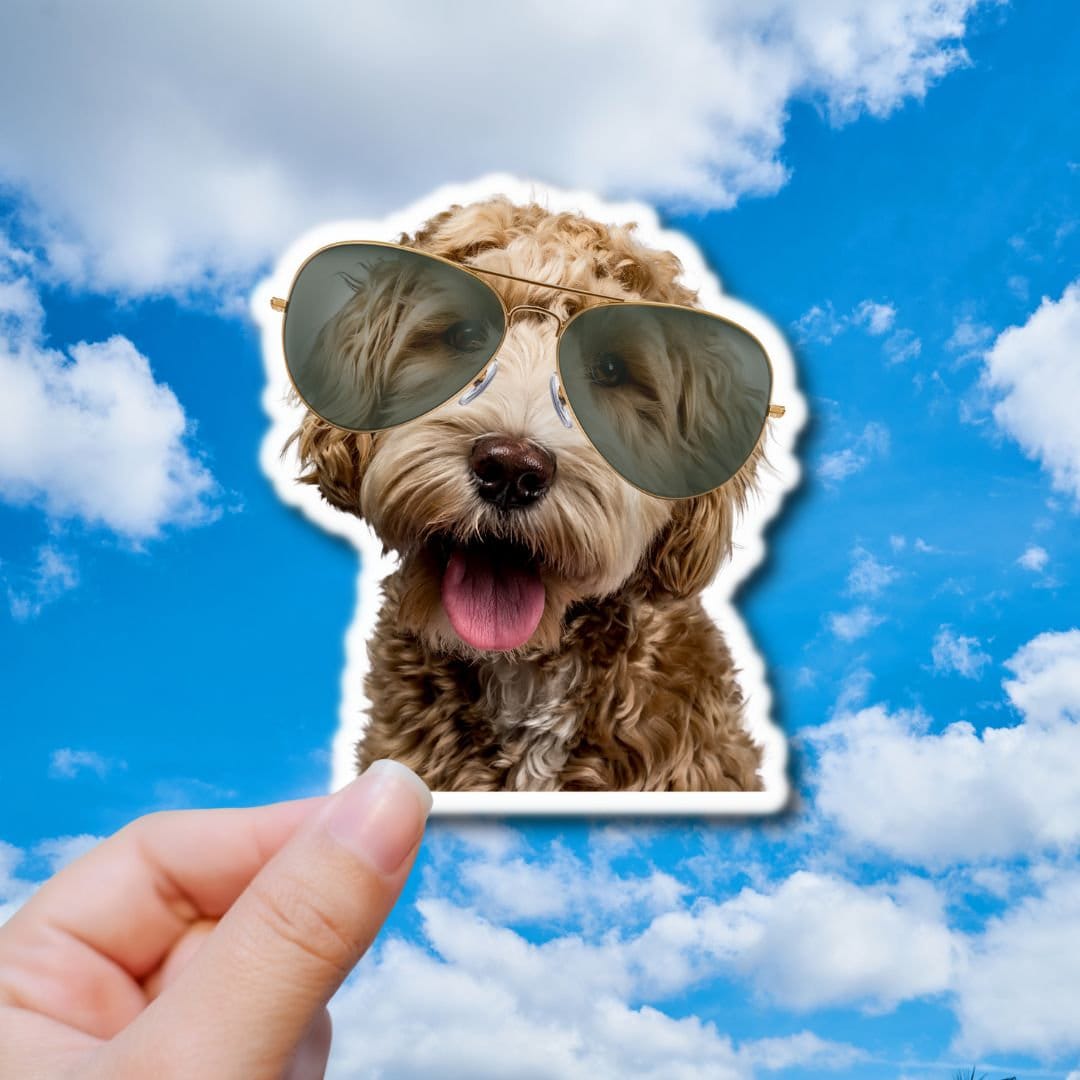 3.5 Goldendoodle With Glasses Sunglasses Happy Dog Lover Laminated Laptop Sticker Paws Pant Etsy