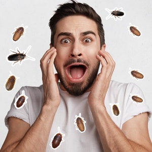 May include: A man with a beard and a white t-shirt is shown with a shocked expression, mouth open, and hands on his face. Several cockroach stickers are scattered around him, creating a humorous and unsettling scene.