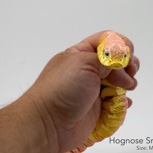 Hognose Snake Articulated 3D Printed Flexi Fidget Sensory Creature - Etsy