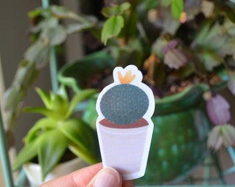 Cactus Sticker, Succulent Sticker, Water bottle Sticker, Laptop Sticker, Plant Sticker, Waterproof Sticker, Vinyl Sticker, Nature Sticker