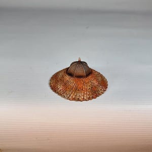 A painted miniature of a round, red-orange tiled roof section with a small spire on top.