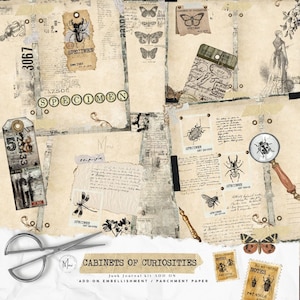 Gabinete de curiosidades, AGREGAR EN Kit de diario basura de espécimen grunge, kit de elaboración de notas de campo, insectos mariposa, naturaleza, papel digital, efímera