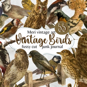 Vintage Vögel Mega Pack 55 pingeliger Schnitt, Junk Journal Kit, Vogel, Eulen, printable, Frühling, Cricut, Ephemera, Birds Journal, digitaler Download, Vögel
