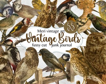 vintage Birds Mega Pack 55 corte quisquilloso, kit de diario basura, pájaro, búhos, imprimible, primavera, cricut, efímera, diario de pájaros, descarga digital, pájaros