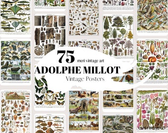 Adolphe Millot BUNDLE,75 posters and illustrations,Adolphe Millot,Adolphe Millot Prints,Digital Download,Mushroom,Kitchen Print,Gift idea