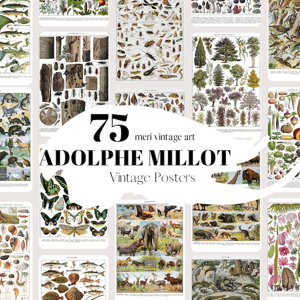 Adolphe Millot BUNDLE,75 posters and illustrations,Adolphe Millot,Adolphe Millot Prints,Digital Download,Mushroom,Kitchen Print,Gift idea