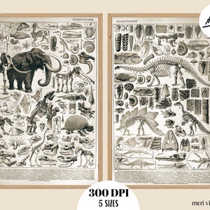 DINOSAURS POSTERS,Adolphe millot ART,Larousse Science plate,Nursery prints,paleontology illustration,Adolphe millot,science poster,kids room