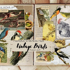 Vogel kieskeurig knippen, digitale kieskeurig gesneden vogels, scrapbooking, junk Journal, afdrukbare kieskeurig gesneden vogels, vogels ephemera, collage vellen, versieringen