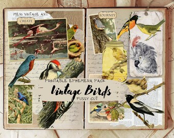 Bird Fussy Cut,Digital Fussy Cut Birds, Scrapbooking, Junk Journal, Printable Fussy Cut Birds, Birds Ephemera,Collage Sheets,Embellishments