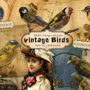 Printable VINTAGE VÖGEL Ephemera Pack,Fussy Cuts,Junk Journal,Scrapbooking,Vintage Vogel,Journaling Sticker,Cut-out,Ephemera,digitaler Download
