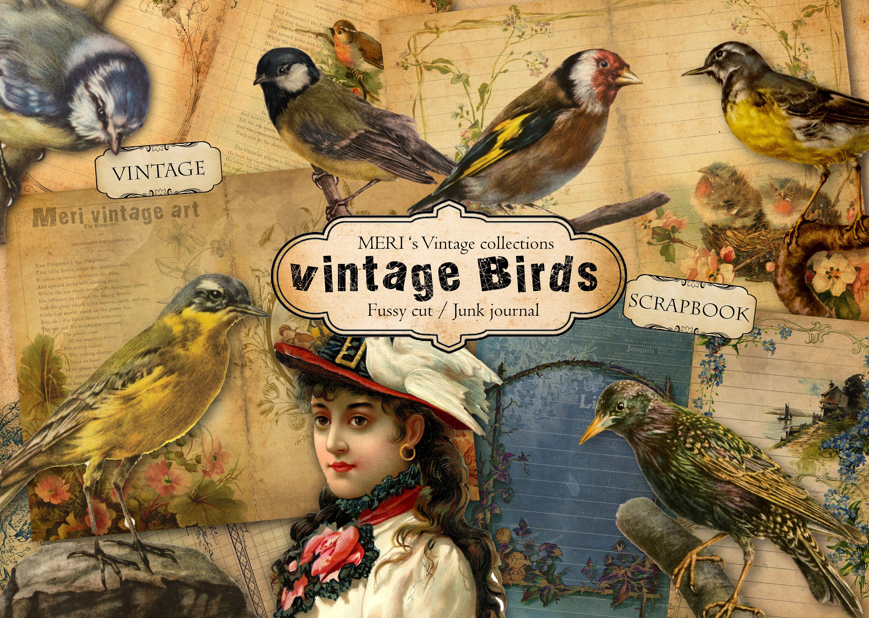Printable VINTAGE BIRDS Ephemera Pack,fussy Cuts,junk Journal