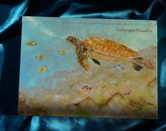 Galapagos Sea Turtle Sugarcane Paper Journal