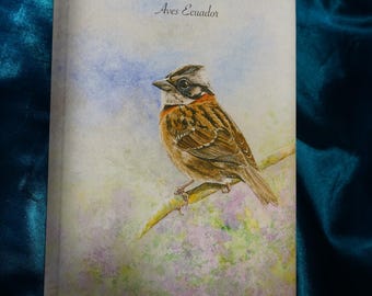 Ecuadorian Rufous-collared Sparrow Sugarcane Paper Journal