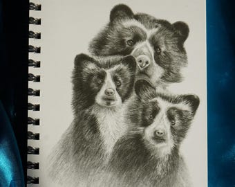 Ecuadorian Andean Bear Sugarcane Paper Journal