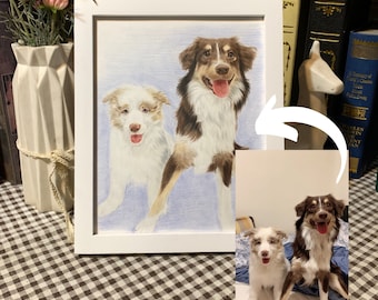 Color Pencil Sketching | Custom Dog Portrait in Colored Pencil Drawing | Pet Portraits | Detailed Pet Portrait From Photo