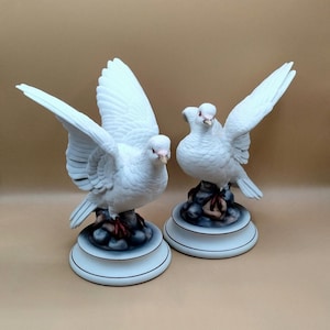 White Doves Andrea - Etsy