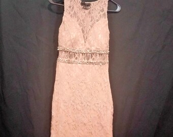 May include: A sleeveless, light pink lace dress with a beaded waistband. The dress has a fitted silhouette and a scoop neckline.