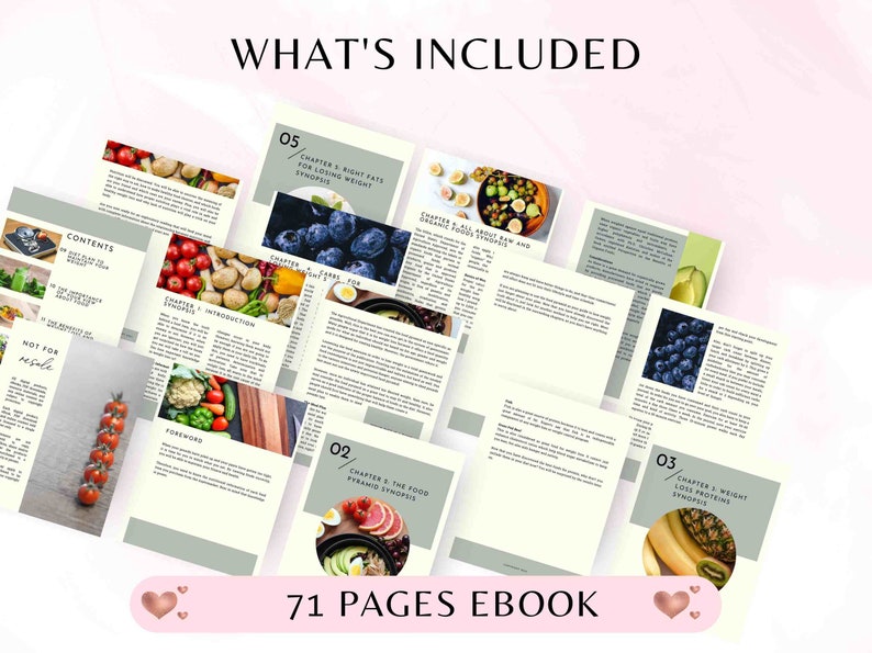 PLR Weight Loss Coaching Program: Ebook & Workbook Canva Template image 4