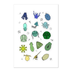 May include: A set of 17 colorful stickers featuring various types of plankton. The stickers are on a white background and are perfect for adding a touch of whimsy to any project.
