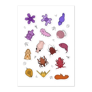 May include: A set of 15 colorful stickers featuring various sea creatures, including a purple starfish, a pink sea slug, a brown crab, and a red sea anemone.