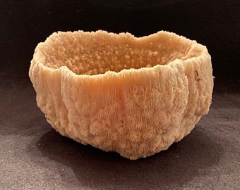 Vintage Genuine Natural White Coral Bowl-Decorative Bowl-Shell