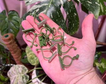 Green Wall Plant Clips