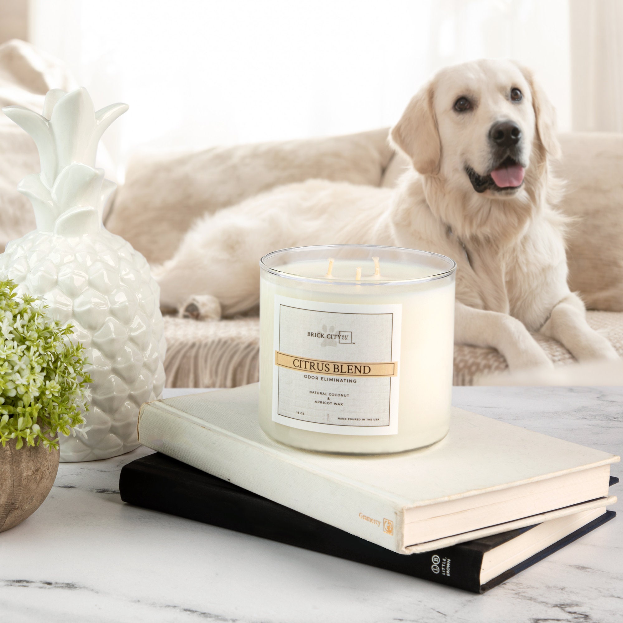 Pet Odor Candles Etsy Canada
