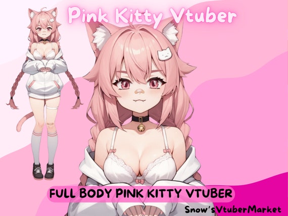 Pink Kitty Full Body Vtuber Model - Multiple toggles - VTubeStudio