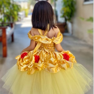 Belle Schönheit und das Biest inspiriert Tutu Kleid