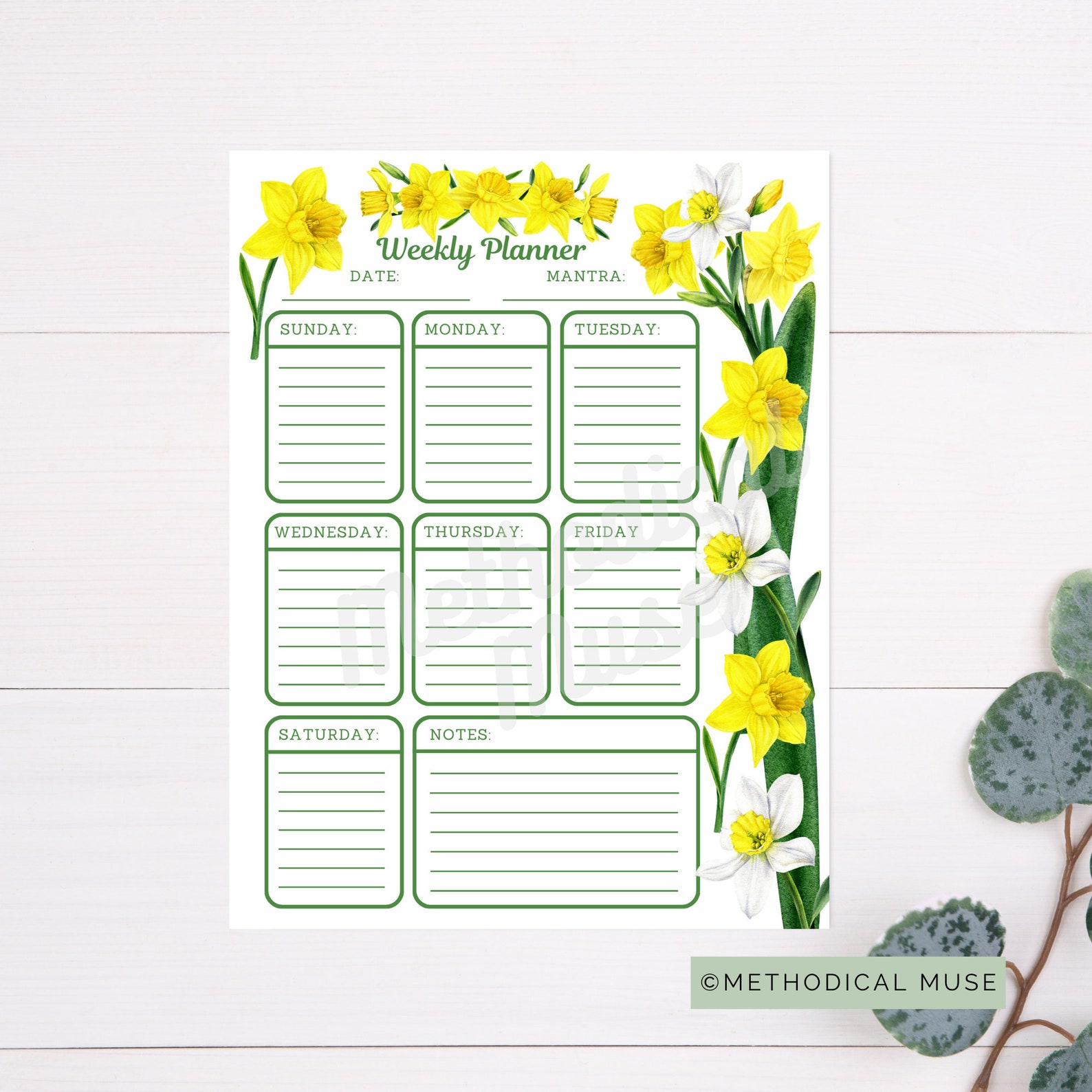 Weekly Planner Printable Lined Sunday Start Letter Size - Etsy