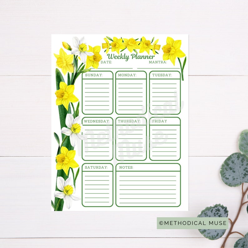 Weekly Planner Printable Lined Sunday Start Letter Size - Etsy