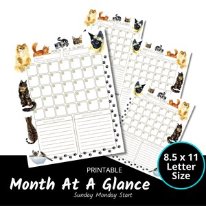 Month at a Glance PDF Printable Planner Cat, Sunday Monday Start, Monthly Schedule, Monthly Organizer, Desk Planner, Letter, Cats