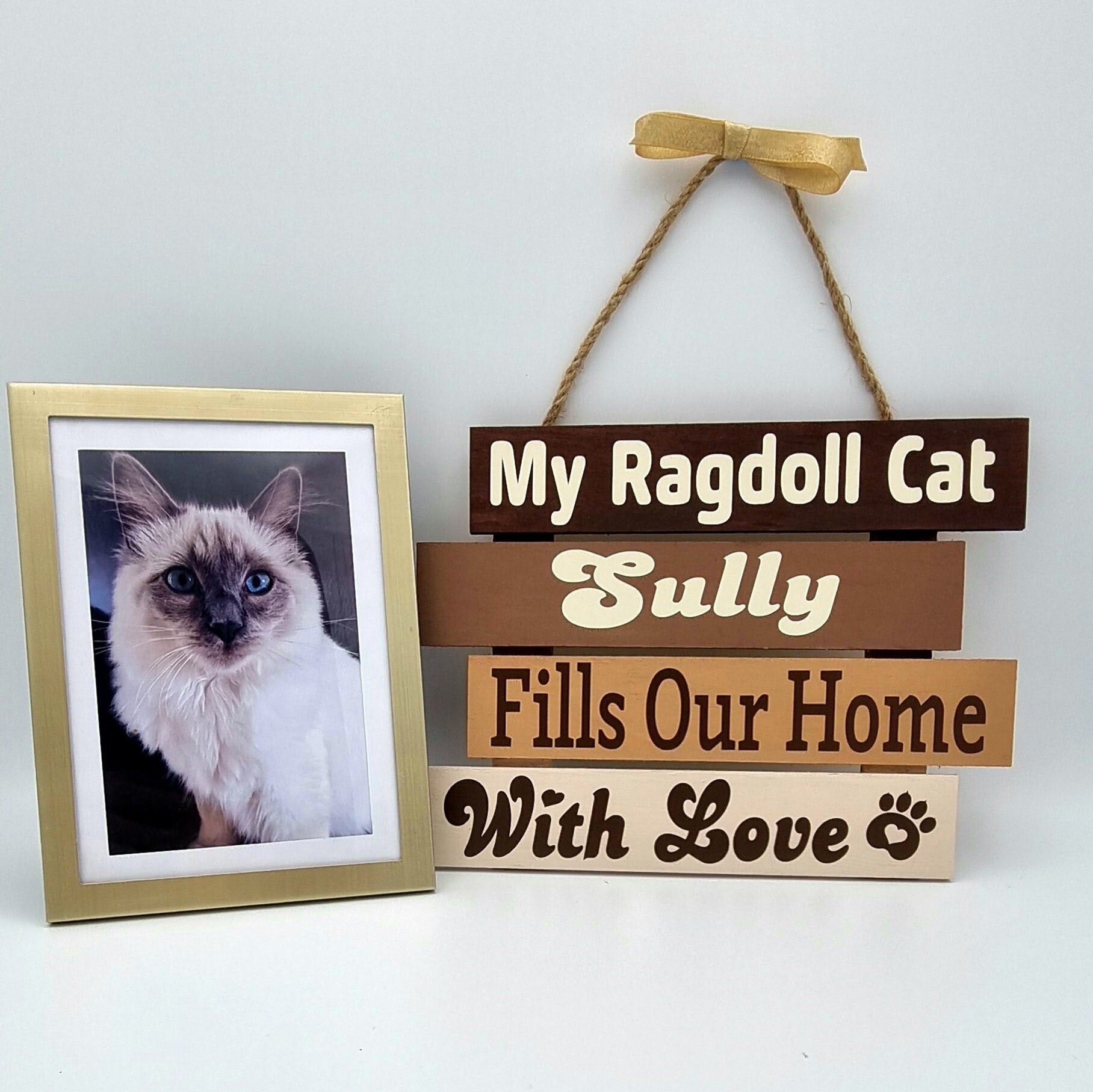 Ragdoll cat store themed gifts
