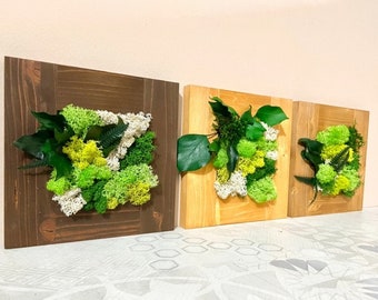 Stabilized moss Moss Art painting 20 cm Triptych paintings in stabilized green