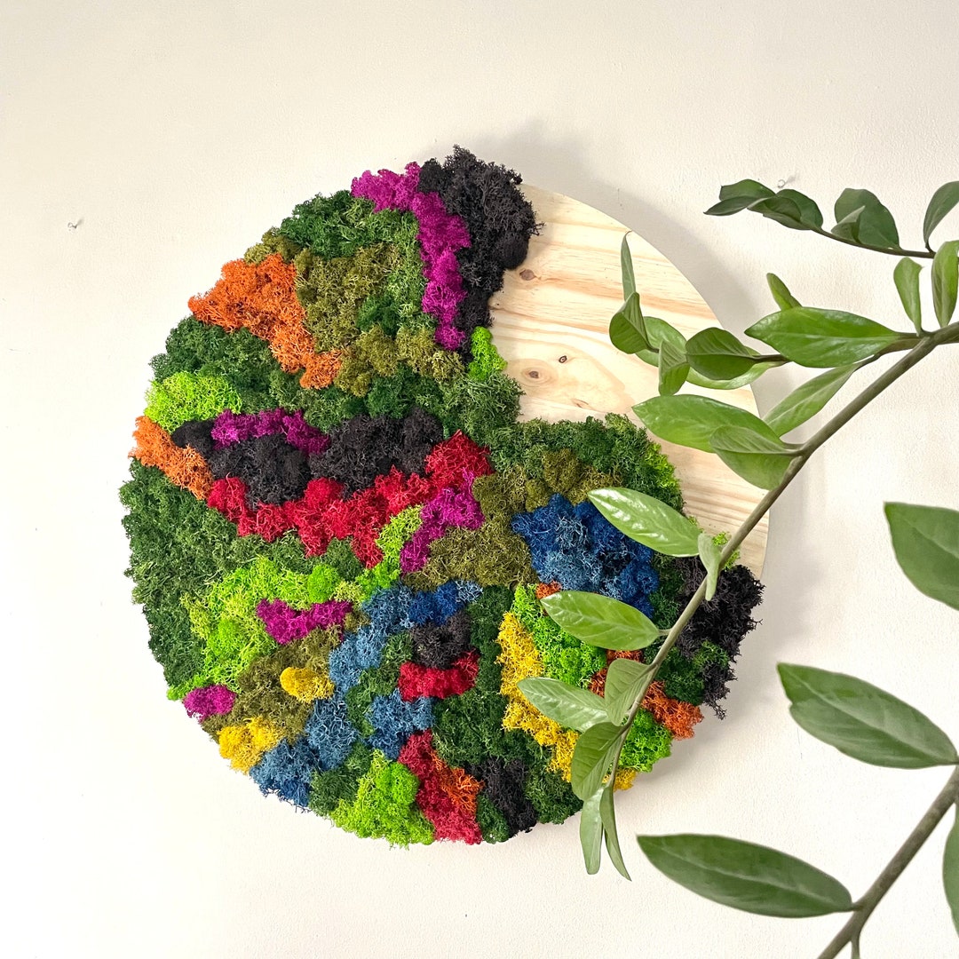 Vertical Garden Moss Art Circle Preserved Moss Custom Wall Etsy
