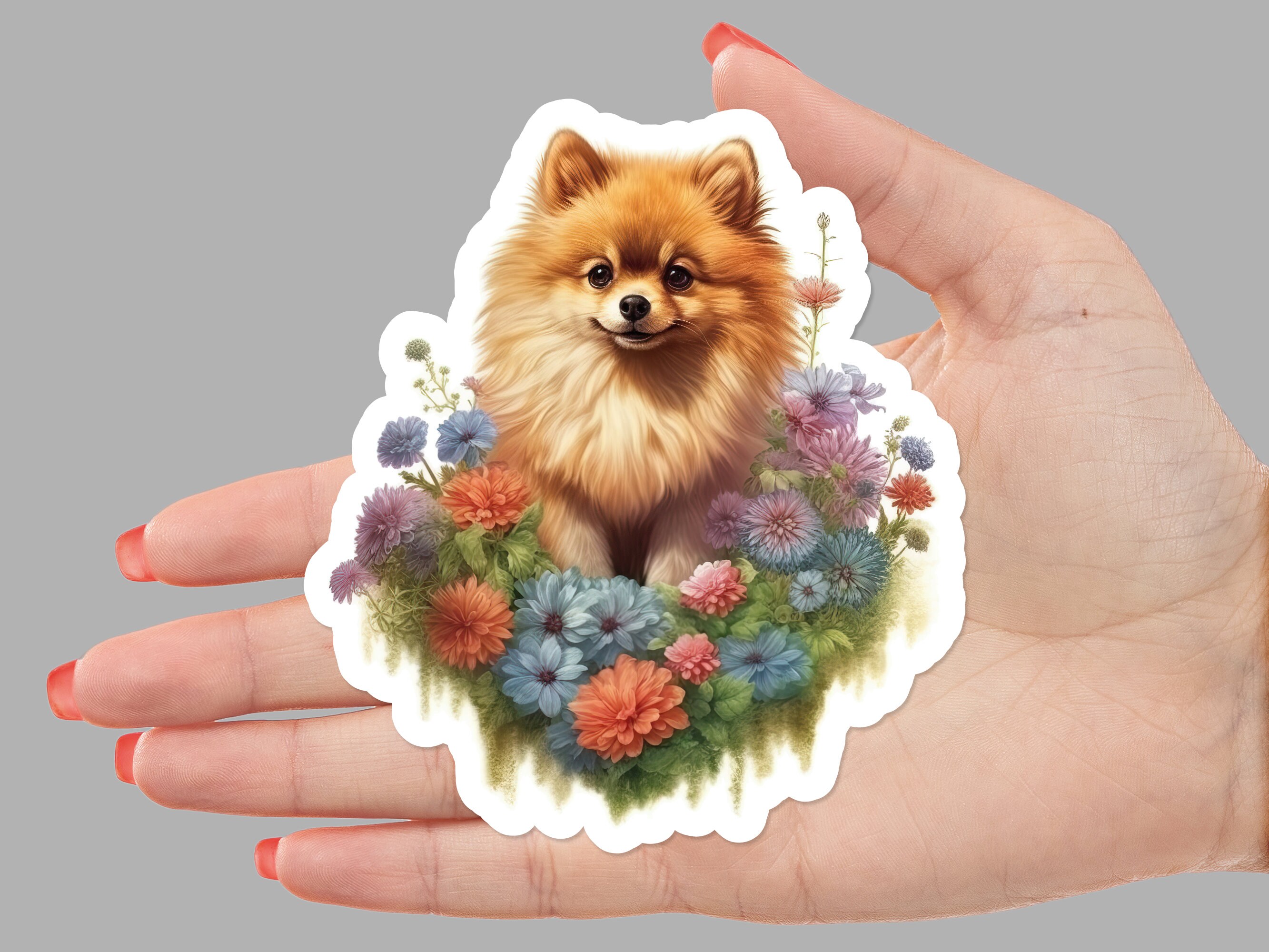 Pomeranian sticker - .de
