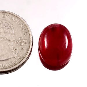Peut inclure: Une pierre précieuse polie, de forme ovale, d'un rouge profond. La gemme est à côté d'une pièce de monnaie américaine pour la comparaison de taille. La pierre a une surface lisse et réfléchissante et semble translucide. Le fond est blanc.