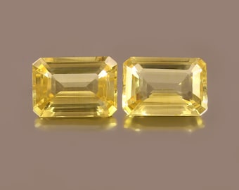 AAA Ceylon Gelber Saphir Edelstein (10x14x6 MM)