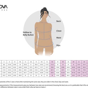 May include: Size chart for leotards with measurements in inches for neck, chest, waist, hips, and hollow to belly button. The chart includes sizes 4 through 24C.