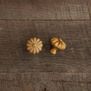 Sunflower Knob | Burnished Finish