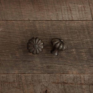 Pomello girasole / finitura bronzo