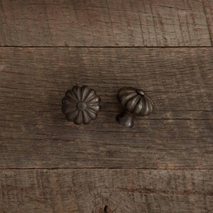 Sunflower Knob | Bronze Finish
