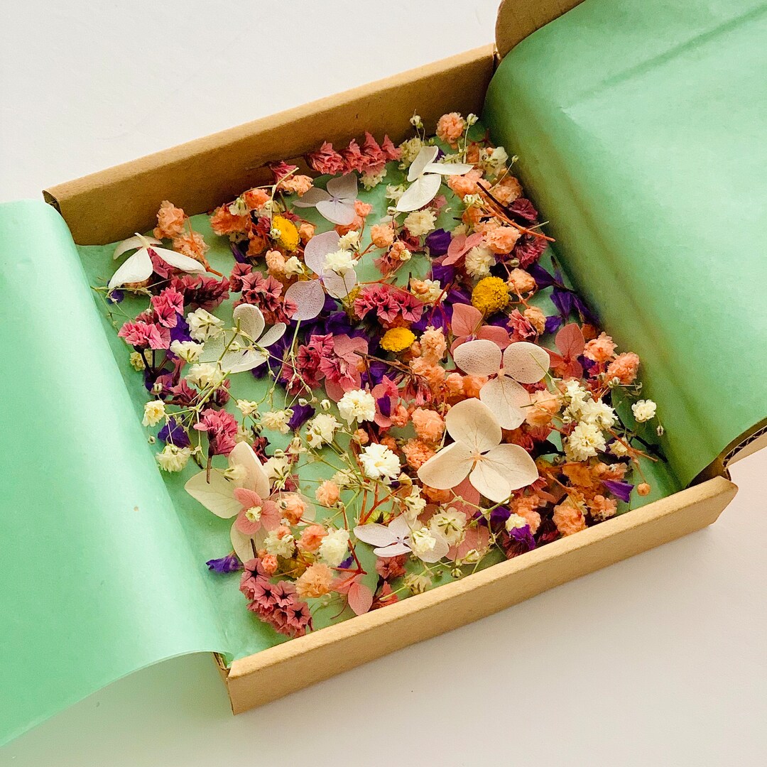 Tiny Dried Flower for Resin Bright Colour Smallest Flower Mini Etsy