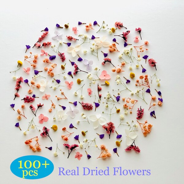 Bulk Flower Petals Etsy