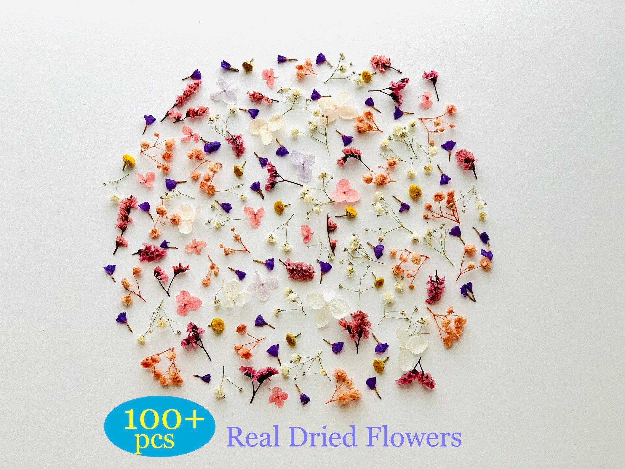 12pcs/pack Dried Flowers for Nails, Mini Nail Flowers, Pressed Flowers for  Resin, Manicure/pedicure Deco 6-10mm Natural Symplocos Paniculata 