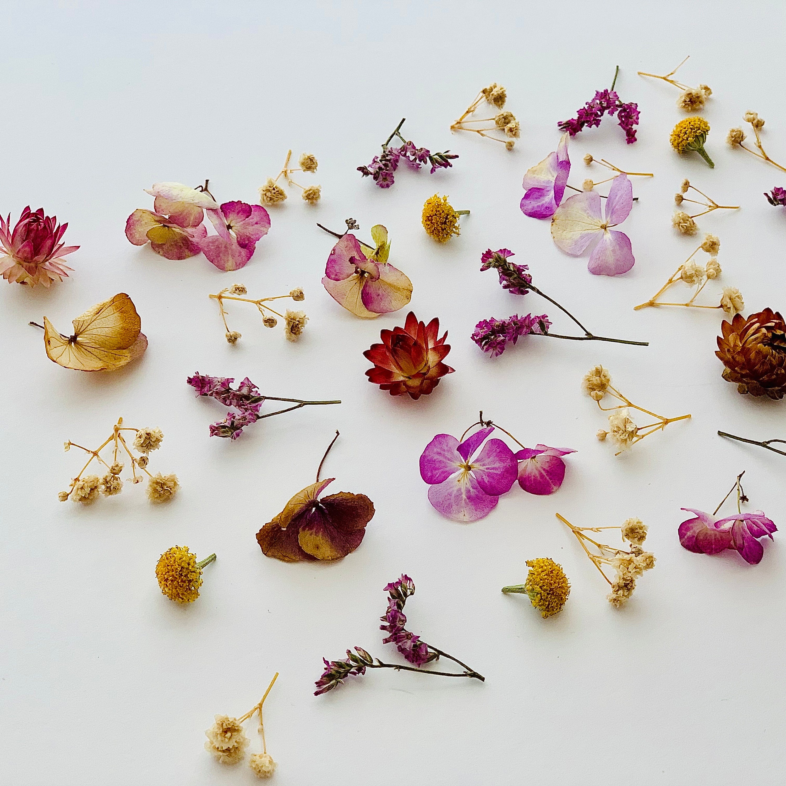 Dried Tiny Flowers for Resin, Tiny Flowers for Resin Jewelry