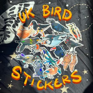 Stickers oiseaux britanniques